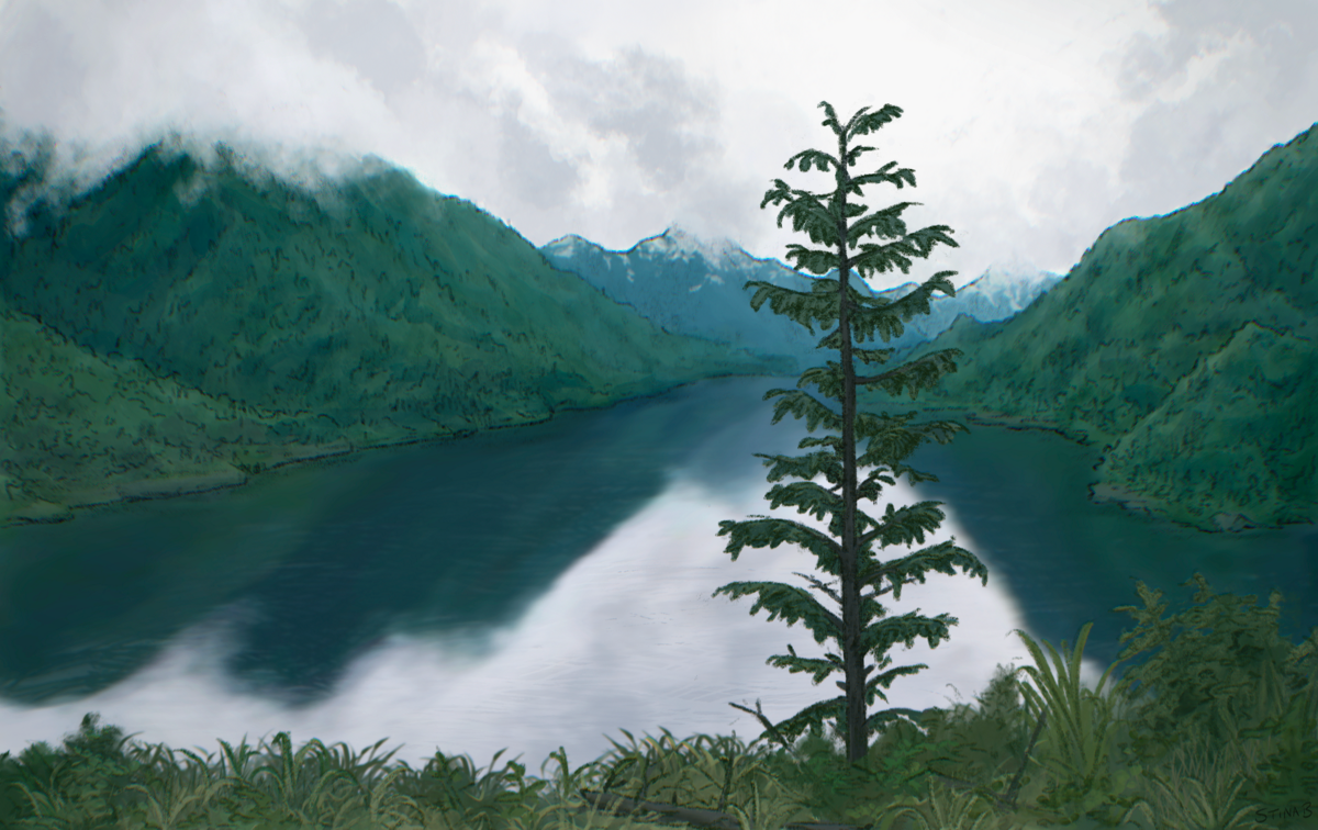 Digital illustration of a short, spindly coniferous tree in front of a lake. Green tree-covered mountains rise across thelake in the background, reflected in the smooth water. Low-hanging light grey clouds obscure the mountain peaks.